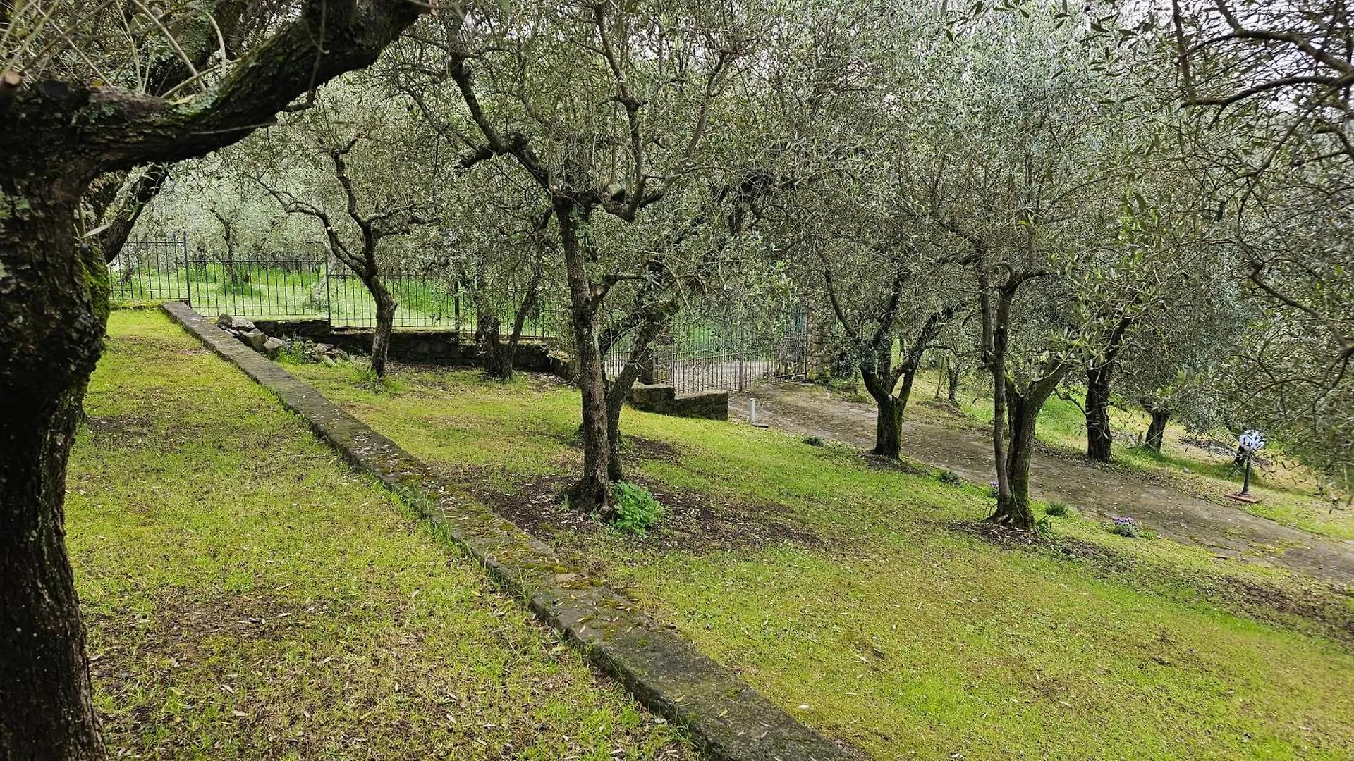 Panoramic Villa In Tuscany Serravalle Pistoiese 0*,  Italy